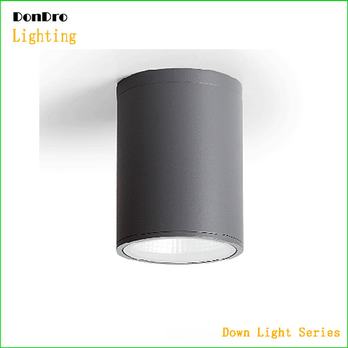 Suspended Down Light