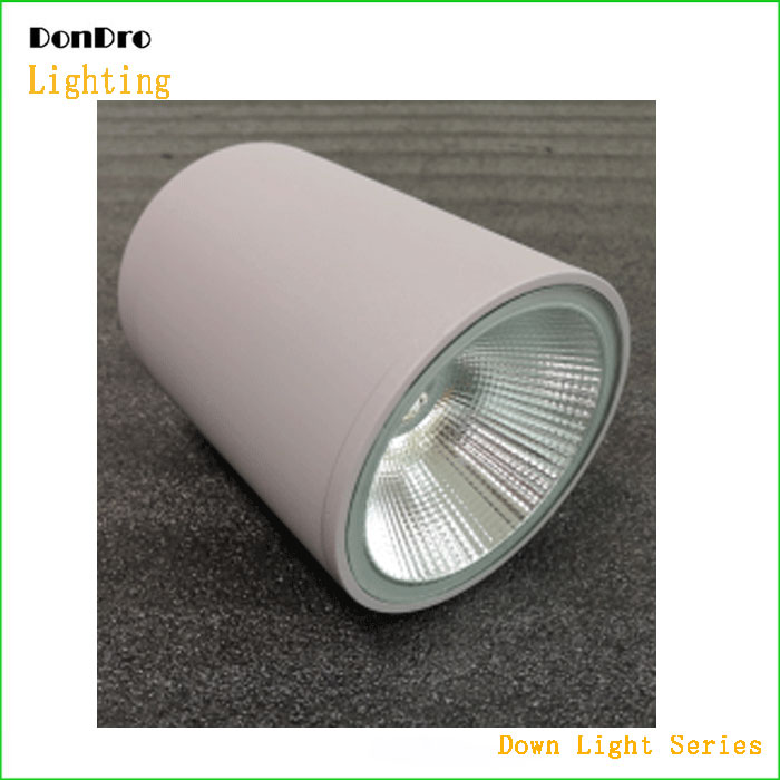 Suspended Down Light