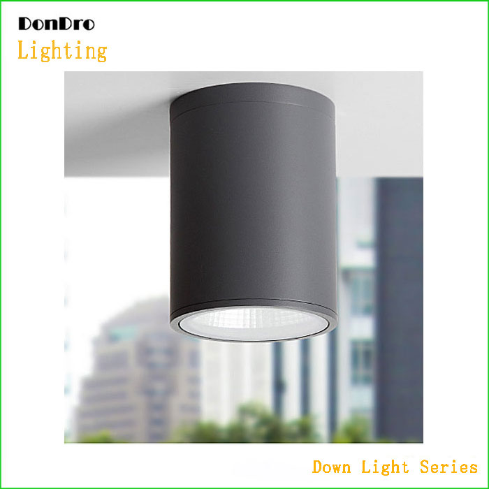 Suspended Down Light