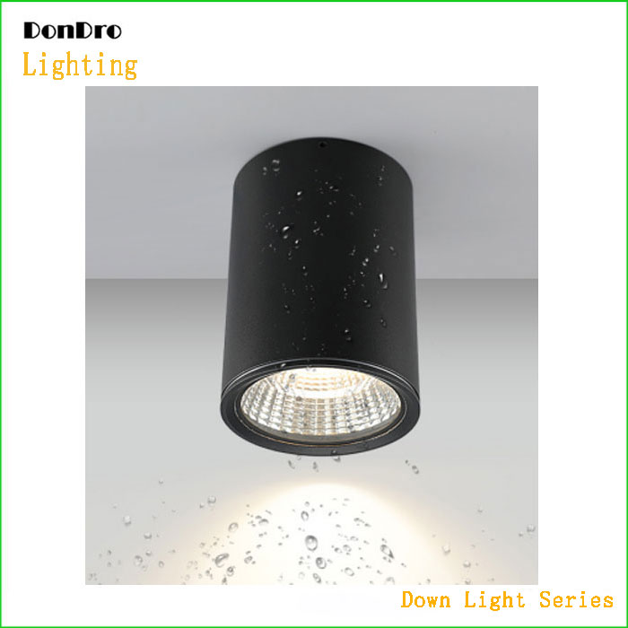 Suspended Down Light