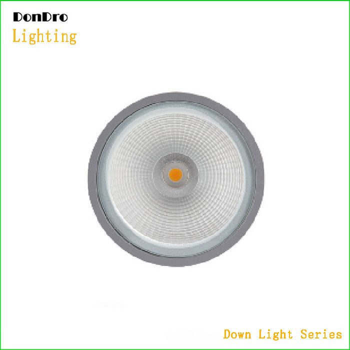 Suspended Down Light