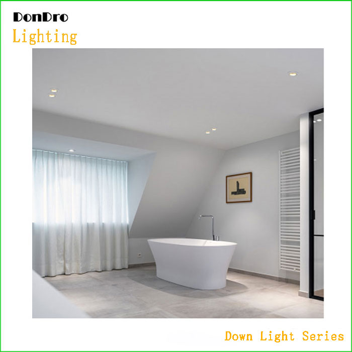 Waterproof Down Light